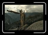 Yosemite * 3504 x 2336 * (3.49MB)